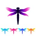 Colorful dragonfly in trendy style on white backdrop. Beauty concept. Design element. Vector abstract dragonfly on white backdrop