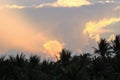 Colorful dramatic sky on twilight time against coconut palm trees on foreground. Royalty Free Stock Photo