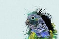 Colorful drawing of common parrot in oil Royalty Free Stock Photo