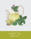 Colorful drawing of glass teapot with strainer, cup of green tea, organic mint leaves and flowers on gray background Royalty Free Stock Photo