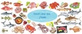 Colorful Drawing Marine Food Collection