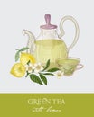 Colorful drawing of teapot with strainer, transparent cup full of green tea, fresh leaves and flowers on gray background Royalty Free Stock Photo