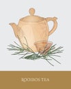 Colorful drawing of teapot, transparent cup with steeping rooibos tea, fresh leaves on gray background. Tasty aromatic Royalty Free Stock Photo