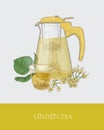 Colorful drawing of transparent pitcher with strainer, cup of floral tea or herbal infusion and linden branch with