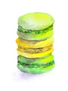 Colorful drawn cookies - macaroons