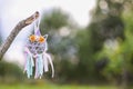 Colorful dreamcatcher on summer nature background. Handmade decor made of feathers, ribbons, threads and beads