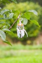 Colorful dreamcatcher outdoors on summer nature background. Handmade decor made of feathers, ribbons, threads and beads.