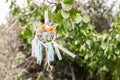 Colorful dreamcatcher on summer nature background. Handmade decor made of feathers, ribbons, threads and beads