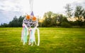 Colorful dreamcatcher on summer nature background. Handmade decor made of feathers, ribbons, threads and beads