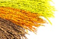 Colorful of dried ear of rice isolated Royalty Free Stock Photo