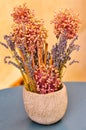 Colorful, dried flower arrangement, in ceramic vase Royalty Free Stock Photo