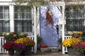 Colorful Dried Flowers Decorate Home Entrance Royalty Free Stock Photo