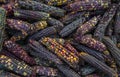 the colorful dried Indian corns close up Royalty Free Stock Photo