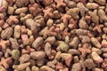 Colorful dry cat dog food in granules Royalty Free Stock Photo