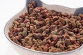 Dry cat dog food in granules in the bowl Royalty Free Stock Photo