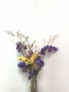 Colorful dry flower in the grass bottle with White background