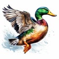 Colorful Duck Flying: Detailed Illustration With Vibrant Colors