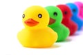 Colorful ducks in a row isolated over white. Rubber ducks in a row on a white background Royalty Free Stock Photo