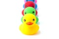 Colorful ducks in a row isolated over white. Rubber ducks in a row on a white background Royalty Free Stock Photo