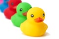 Colorful ducks in a row isolated over white. Rubber ducks in a row on a white background Royalty Free Stock Photo