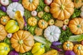 Colorful dummy fresh fruit and vegetable Royalty Free Stock Photo