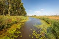 Colorful Dutch landscape with creek Royalty Free Stock Photo