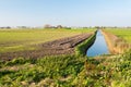 Colorful Dutch rural landscape in autumn Royalty Free Stock Photo