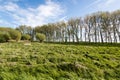 Colorful Dutch rural landscape in spring Royalty Free Stock Photo