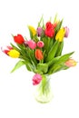 Colorful Dutch tulips Royalty Free Stock Photo