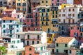 Colorful dwellings. Full background with colorful buildings. Manarola, Cinque Terre National