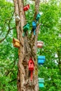 Colorful dyed wooden nestling boxes on tree trunk in summer park. Outdoor creative art decoration and care for birds Royalty Free Stock Photo