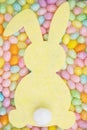Colorful Easter bunny and egg background Royalty Free Stock Photo