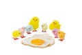 Colorful Easter chicken family watching a fried egg. Royalty Free Stock Photo
