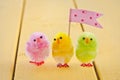 Colorful easter chicks Royalty Free Stock Photo