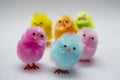 Colorful easter chicks Royalty Free Stock Photo