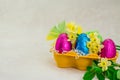 Colorful Easter chocolate eggs and flowers Royalty Free Stock Photo