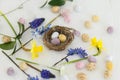 Colorful easter chocolate eggs in nest, spring flowers, feathers composition on rustic wooden table. Easter modern simple Royalty Free Stock Photo
