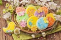 Colorful easter cookies