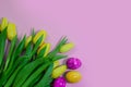Colorful Easter Display, Bright Tulips And Glitter Eggs Arrangement, Vivid Pastel Backdrop With Decorative Spring Royalty Free Stock Photo
