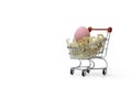 The colorful easter eagg in shopping cart baskets Royalty Free Stock Photo