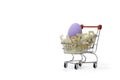 The colorful easter eagg in shopping cart baskets Royalty Free Stock Photo