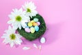 Colorful Easter egg candy in nest Royalty Free Stock Photo