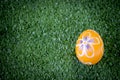 Colorful Easter egg on green grass at the yard   festival and holiday spring coming  Easter calibration Royalty Free Stock Photo