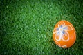 Colorful Easter egg on green grass at the yard   festival and holiday spring coming  Easter calibration Royalty Free Stock Photo