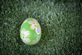 Colorful Easter egg on green grass at the yard   festival and holiday spring coming  Easter calibration Royalty Free Stock Photo