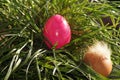 Colorful Easter egg On the green Meadow Royalty Free Stock Photo
