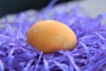 Colorful Easter egg on purple grass