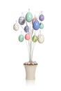 Colorful Easter Egg Tree Royalty Free Stock Photo