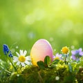 A colorful Easter egg with a yellow and pink gradient stands on a patch of mossy grass. Royalty Free Stock Photo