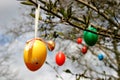 Colorful easter eggs Royalty Free Stock Photo
